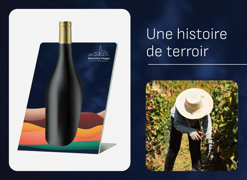 Réalisation_BEAUJOLAIS VILLAGES5